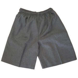 Boys Shorts - Elasticated and Lined